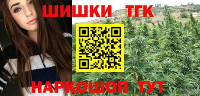 ешки Новодвинск