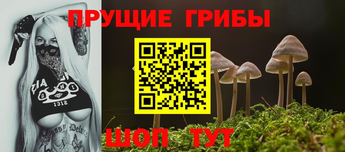 Псилоцибиновые грибы мицелий  Вход с VPN  Острогожск 